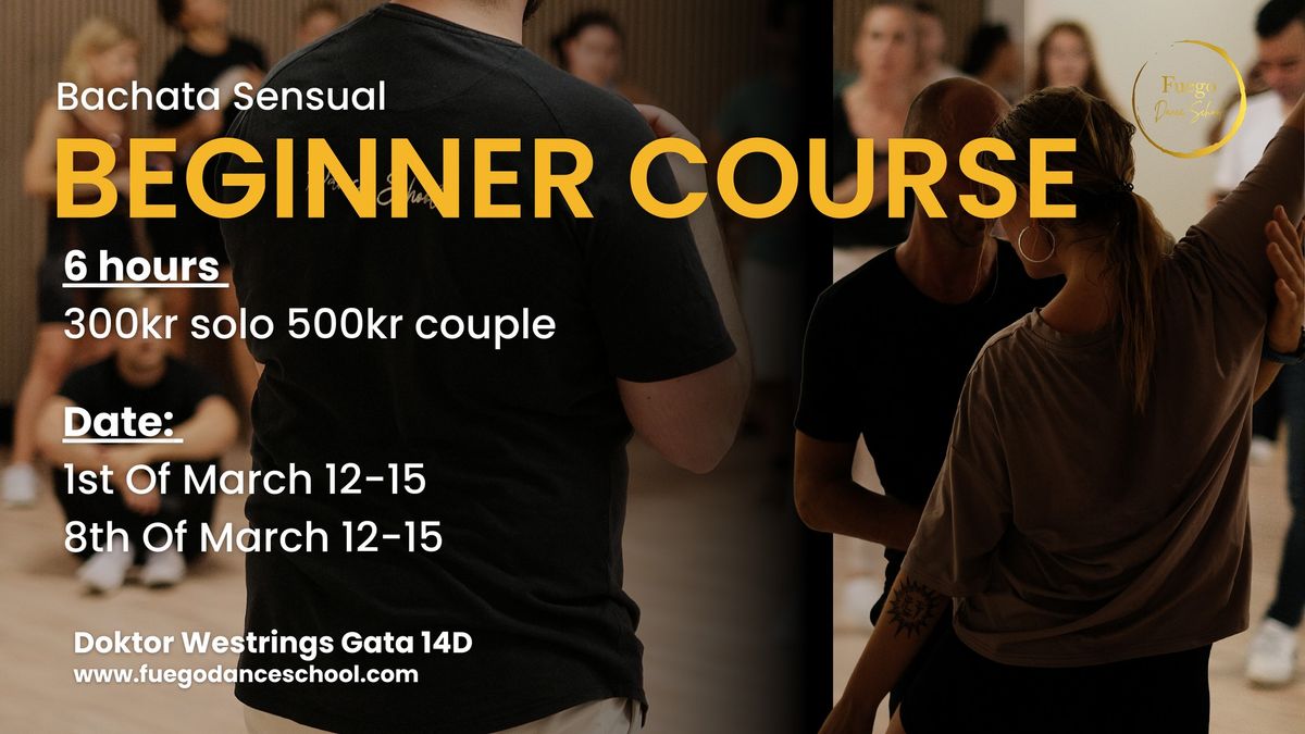 Bachata Beginner Course 6 hour