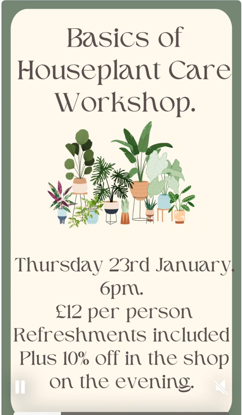 Basics of Houseplant Care Workshop