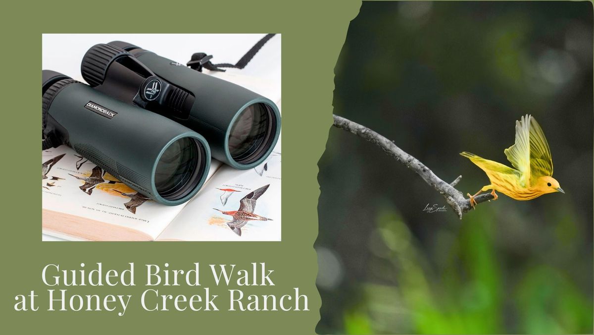 Guided Bird Walk at Honey Creek Ranch