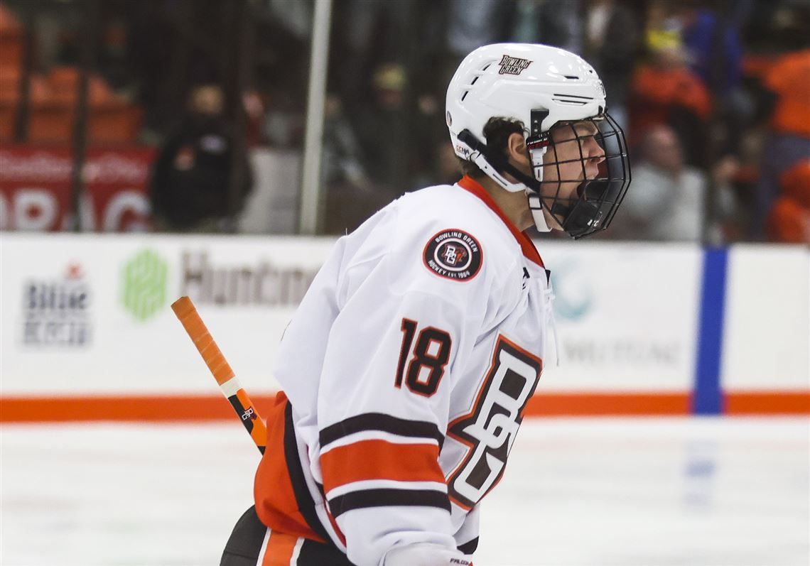 Ferris State Bulldogs at Bowling Green State Falcons Mens Hockey