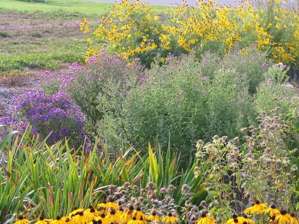 Fall in Love in the Prairie