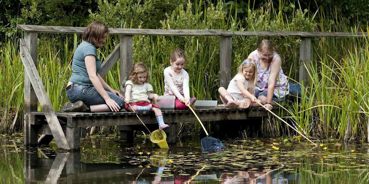 Family Member Pond Dipping at Brandon Marsh