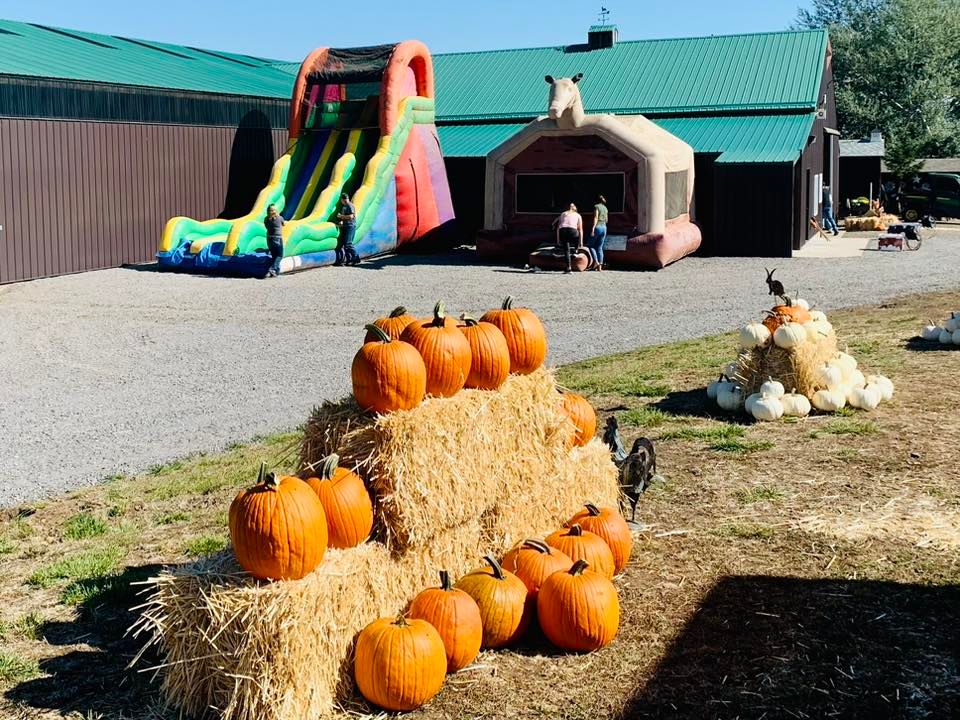 SUMMERVILLE STABLES PUMPKIN PATCH!!!