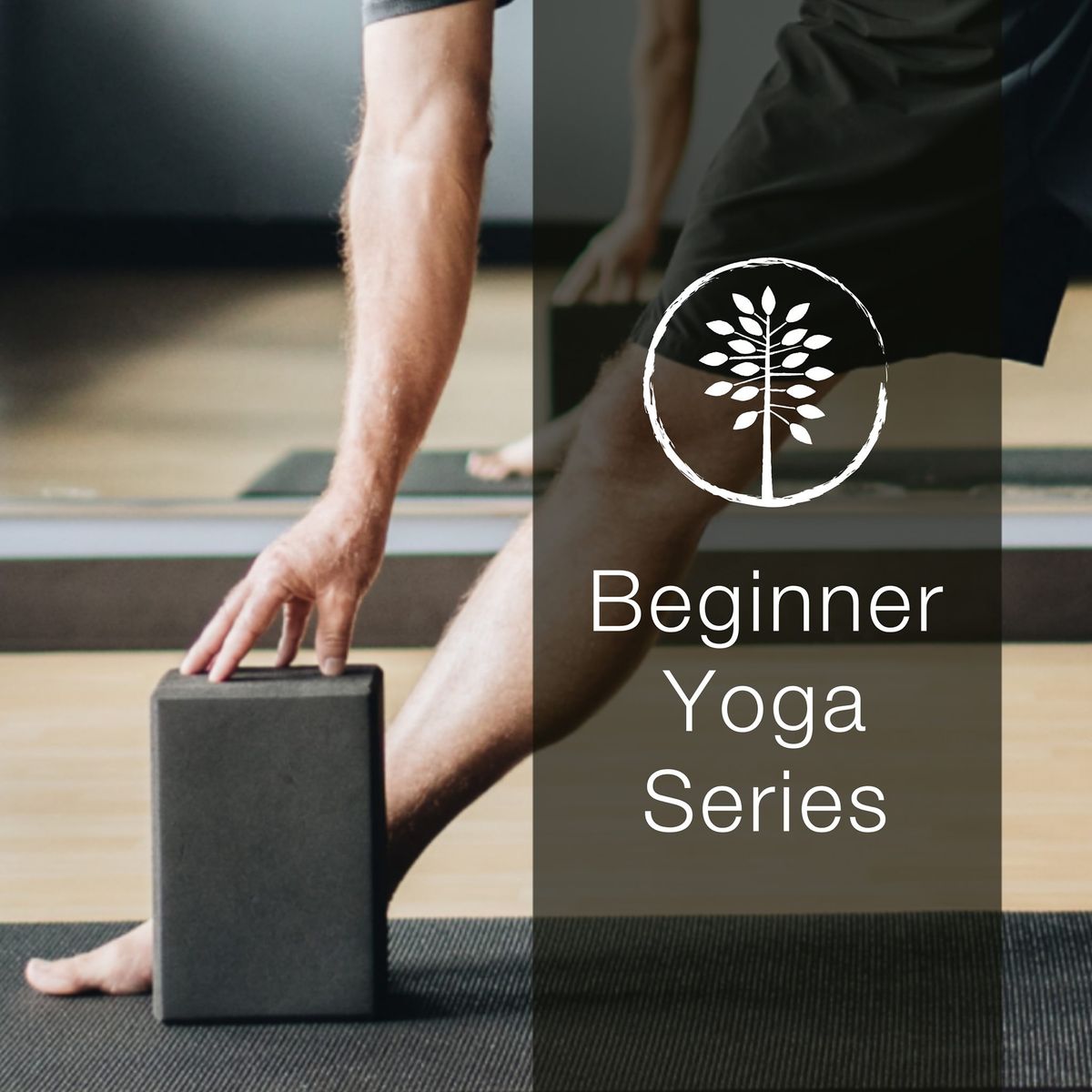 Beginner Yoga Series