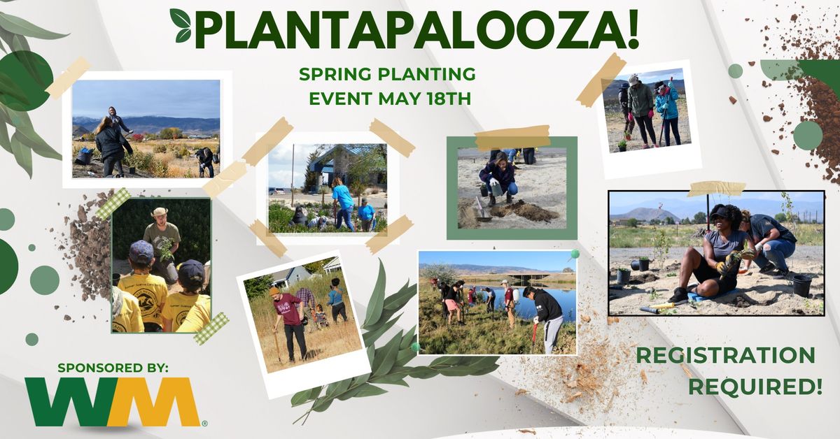 Spring Plantapalooza 