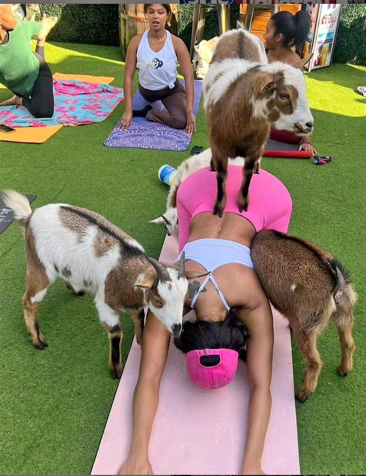 Gentle Goat Yoga