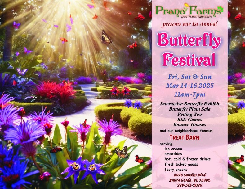 1st Annual Butterfly Festival