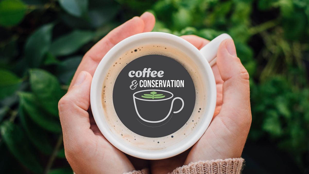 Coffee & Conservation
