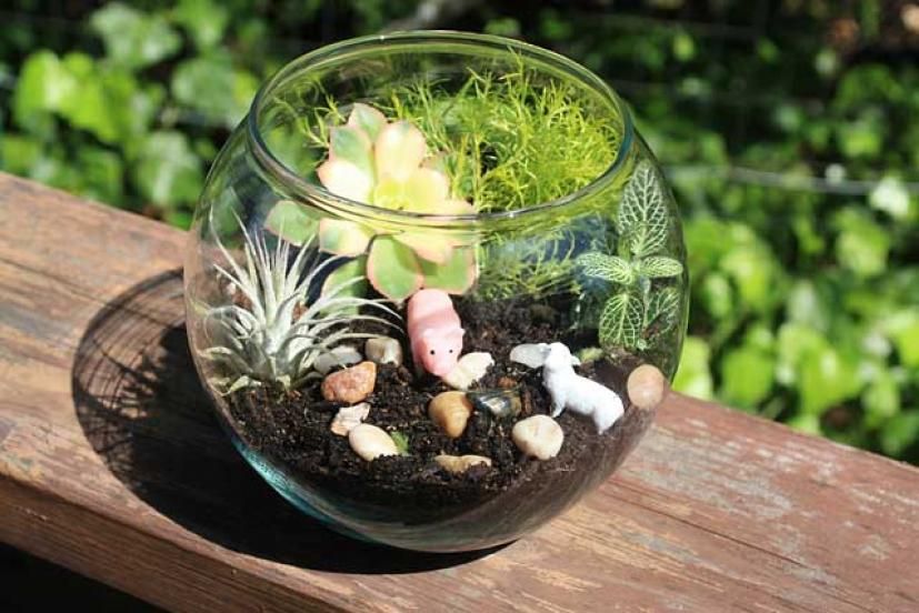 Outdoor Sensory Stations: Terrariums