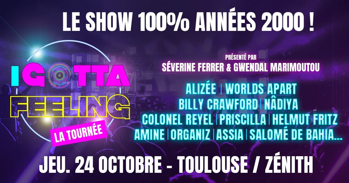 I GOTTA FEELING \/ TOULOUSE