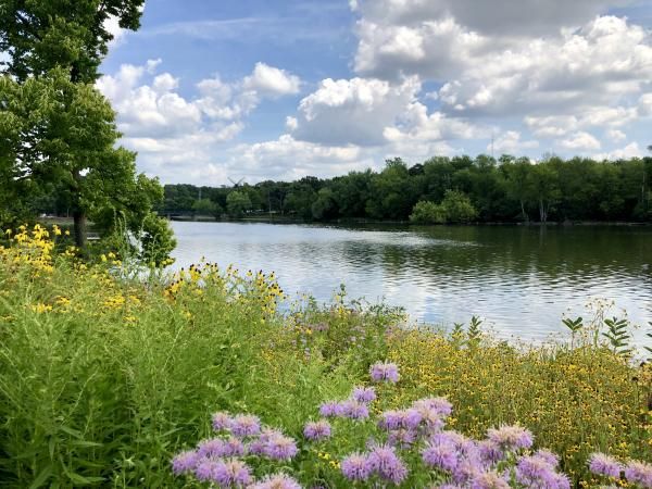 Unlock the Secrets of Batavia Forest Preserves