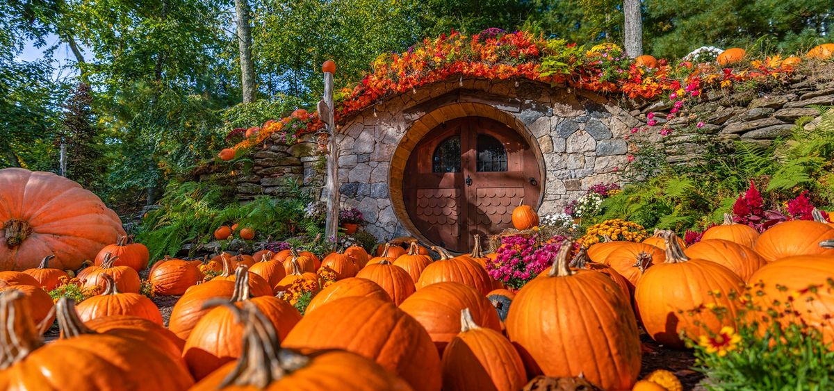 The Hobbit - Lafayette