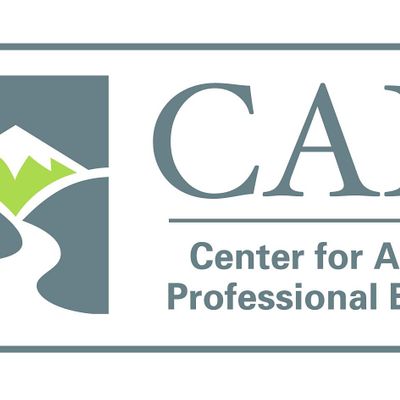 Center for Advancing Professional Excellence(CAPE)