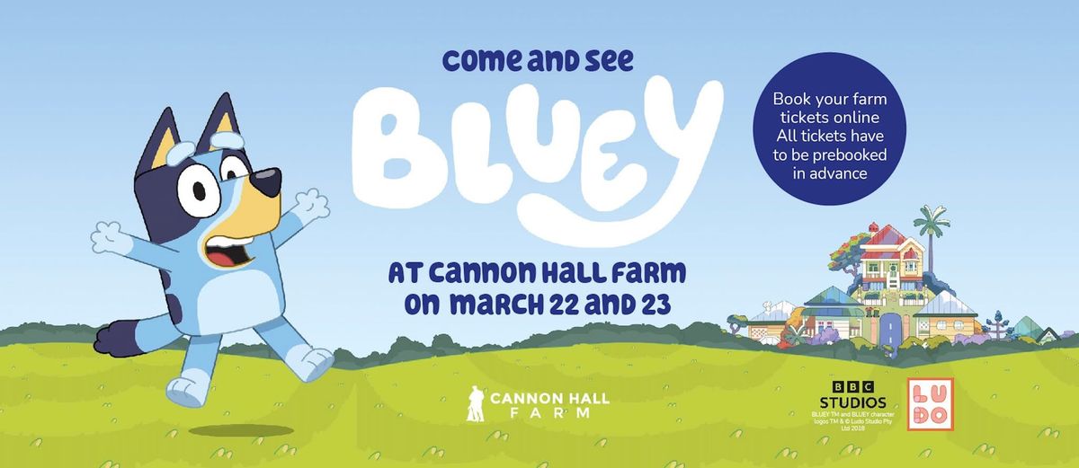 Bluey at cannon hall farm! 