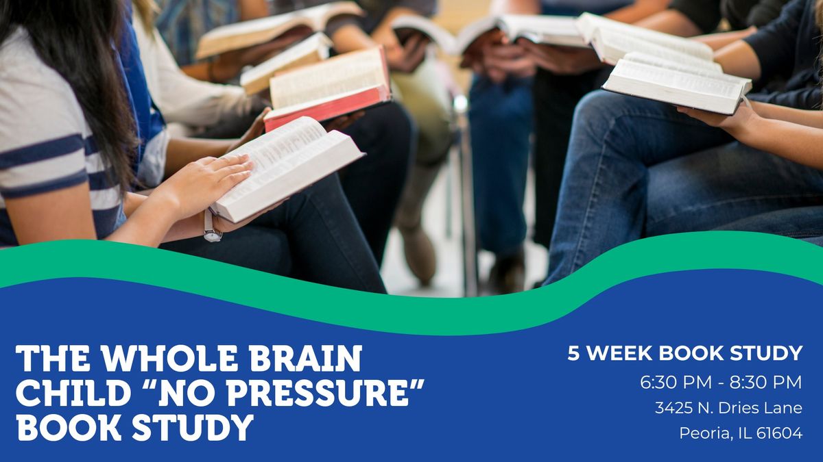 The Whole Brain Child "No Pressure" Book Study