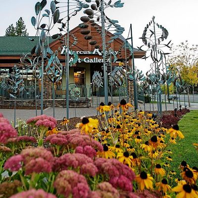 Marcus Ashley Gallery