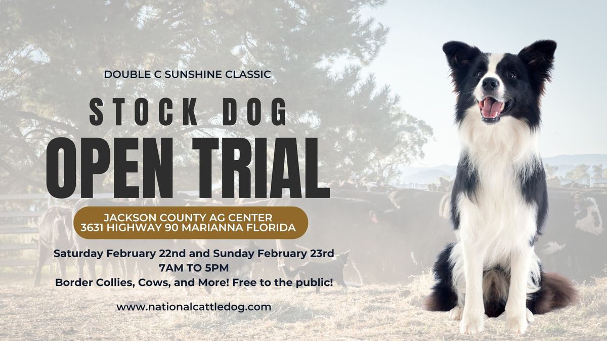 Double C Sunshine Classic - Stock Dog Trial