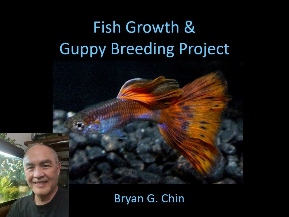 MARCH PACIFIC COAST CICHLID ASSOCIATION MEETING