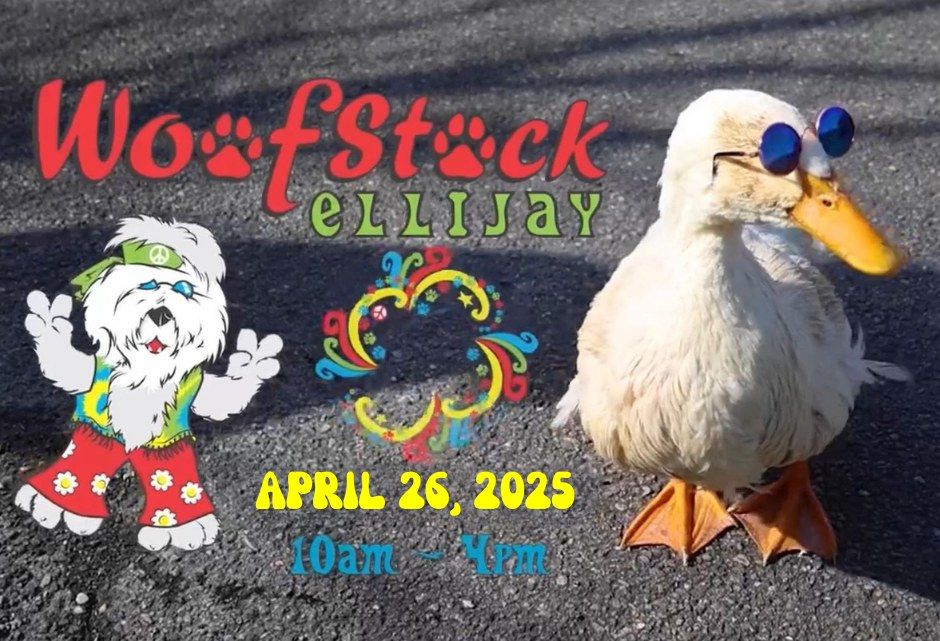 Woofstock Pet Party 2025