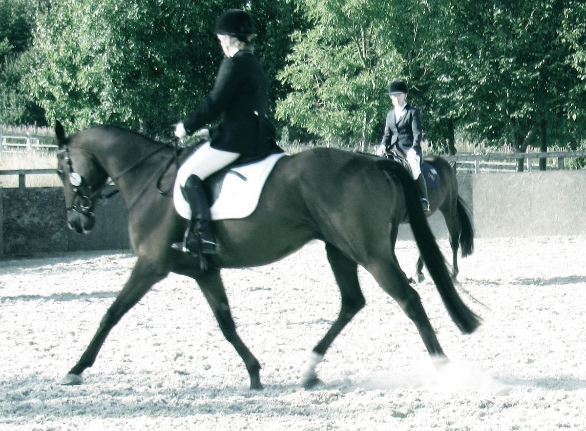 FULL! WAITING LIST OPEN TO BOOK -Dressage Competition 17.11.24 2nd in Winter League