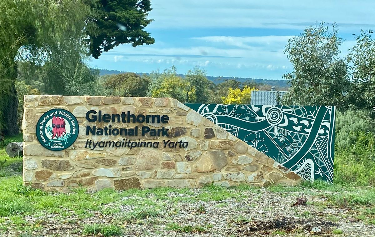 Local plants, animals & kites at Glenthorne