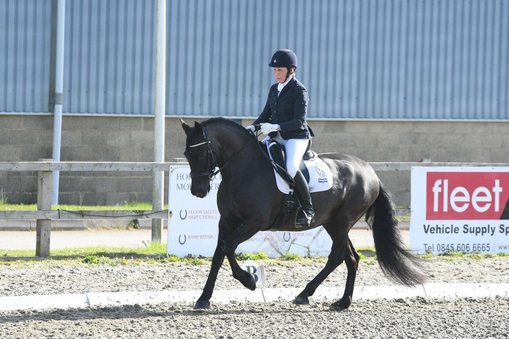 Open Dressage Competition - Winter League Qualifier