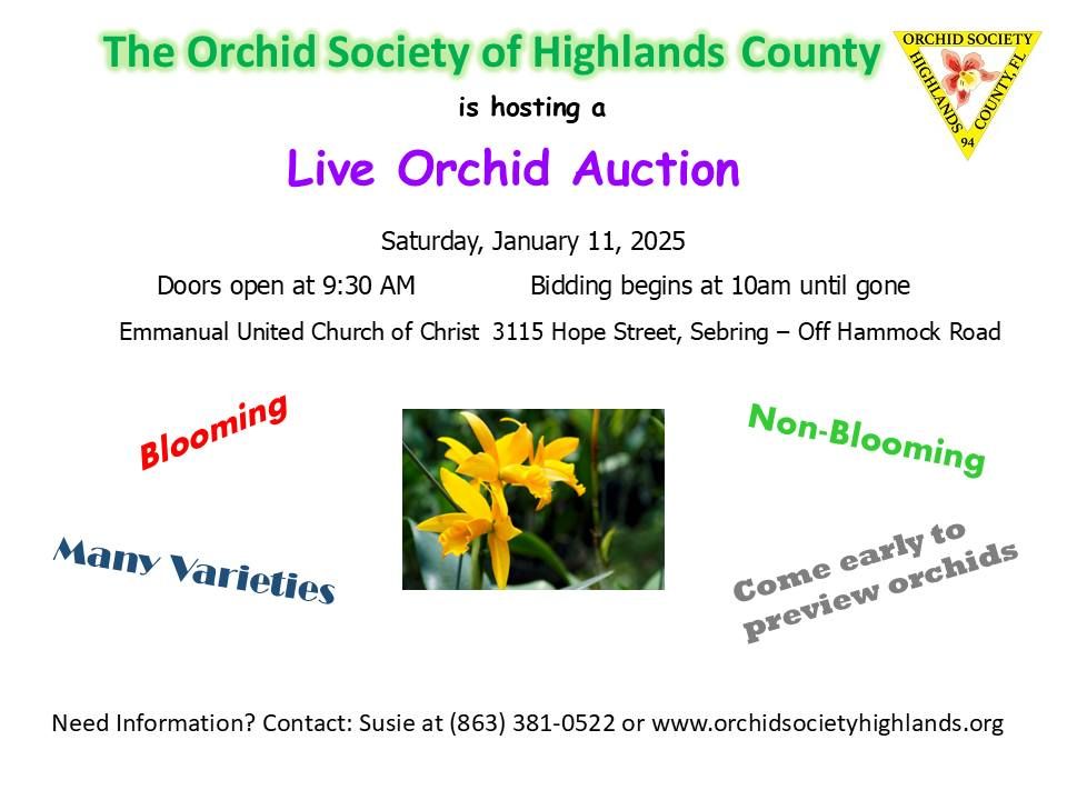 Orchid Live Auction