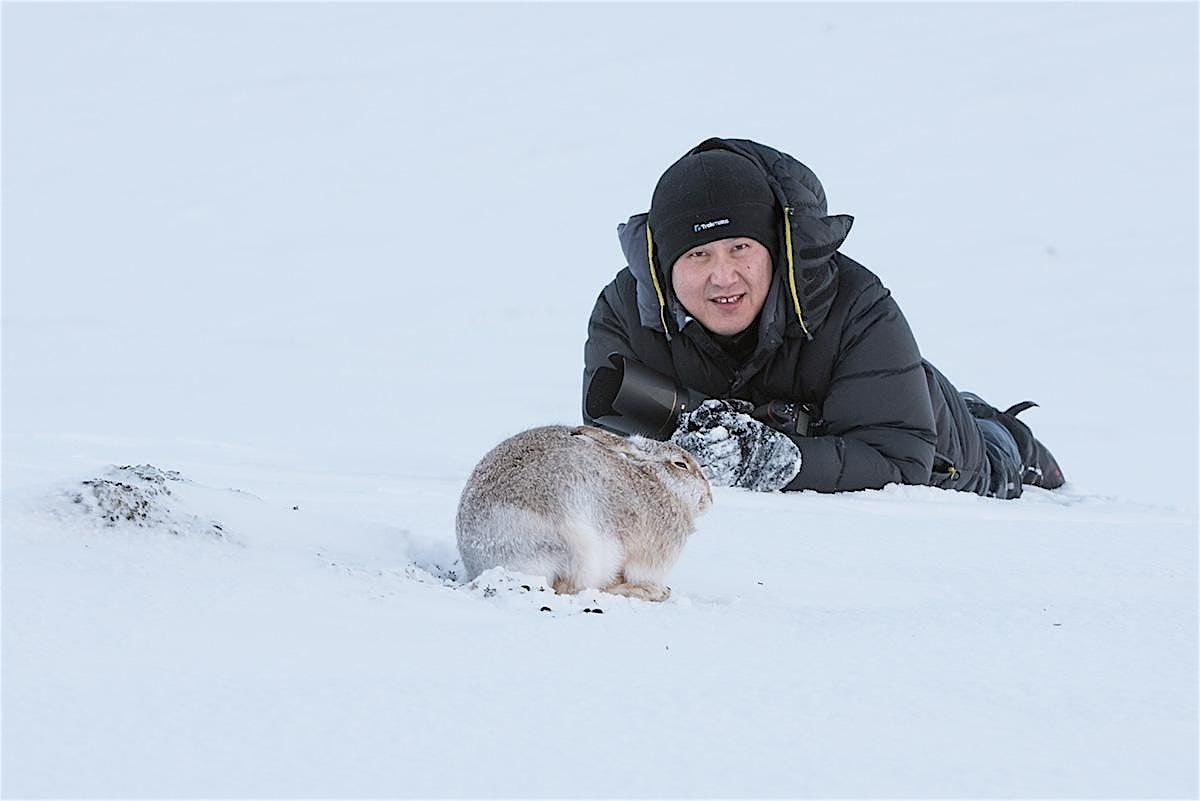 DES ONG's \u2028Wildlife of Britain\u2028and Beyond