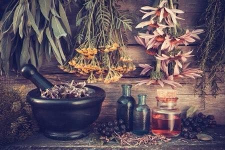 Herbal Medicine Making 