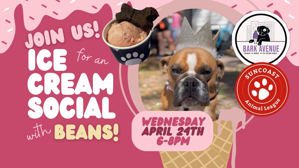 Bean's Ice Cream Social at Bark Avenue Dunedin