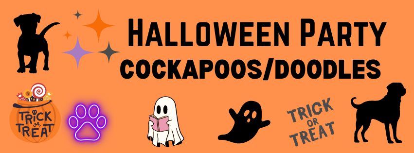 Cockapoo\/Doodle Halloween Party - Glasgow