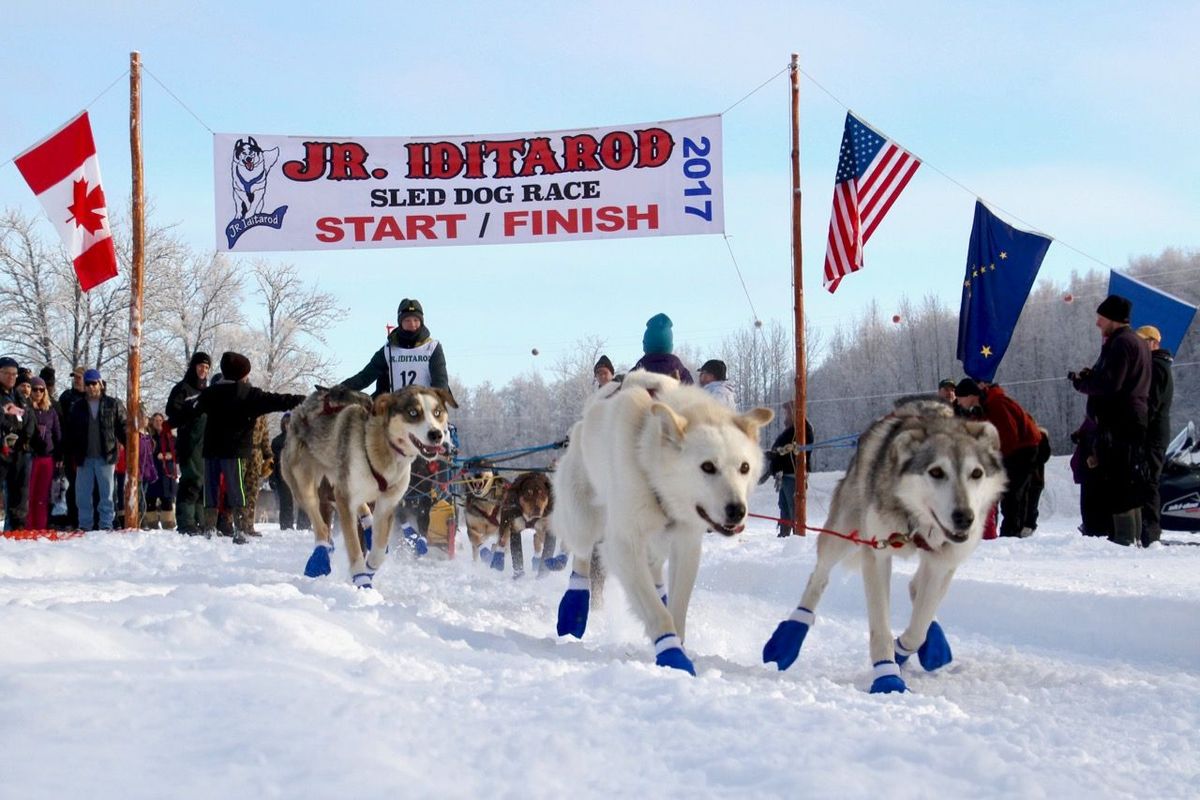 2025 Junior Iditarod Sled Dog Race