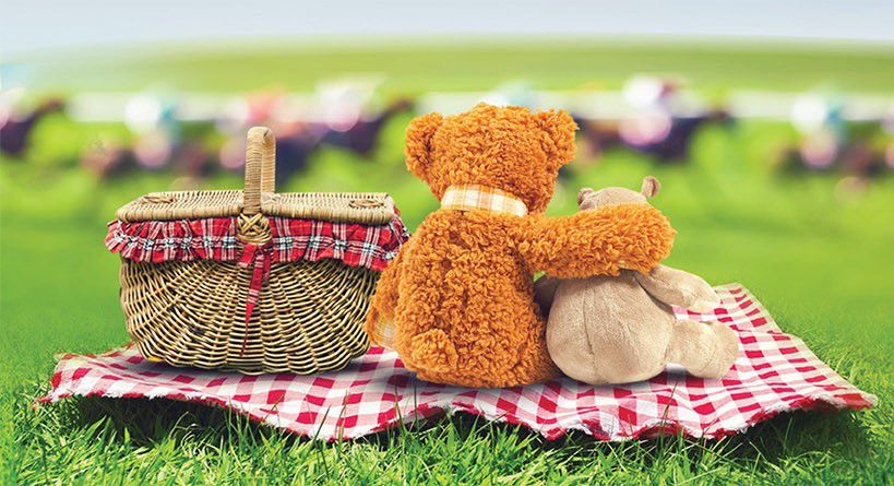 Teddy Bear's Picnic and Garden Party