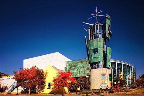 CREATIVE DISCOVERY MUSEUM (Chattanooga) 