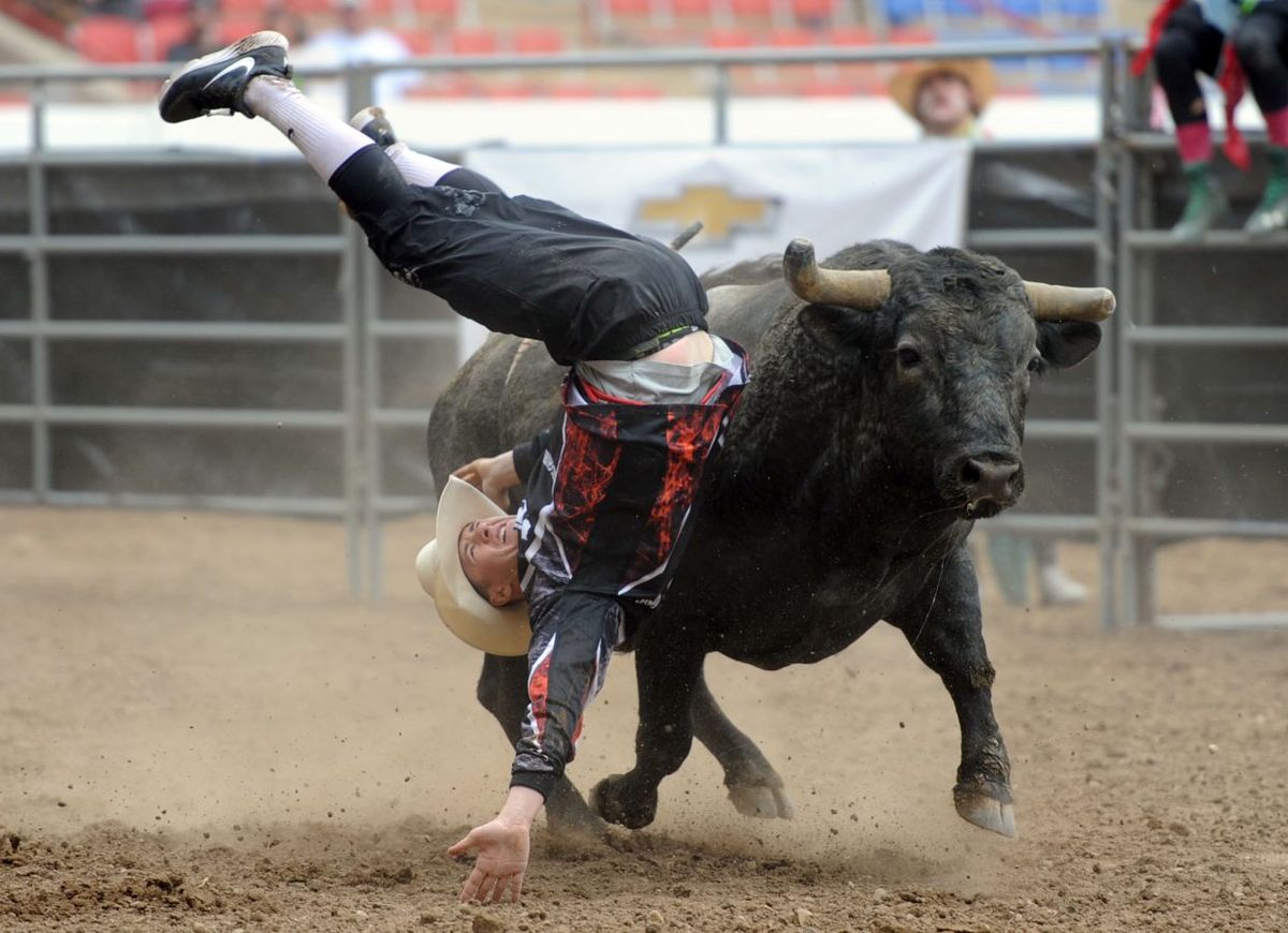 American Bull Fighting