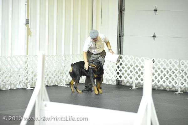 HDTC Winter Obedience & Rally Trials