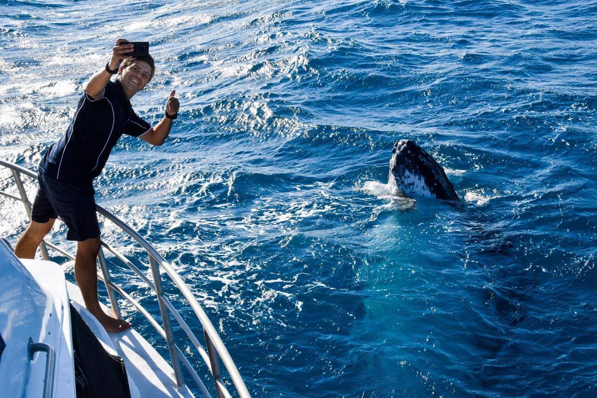 SATURDAYs AM - Whale Watching and Wildlife Cruise