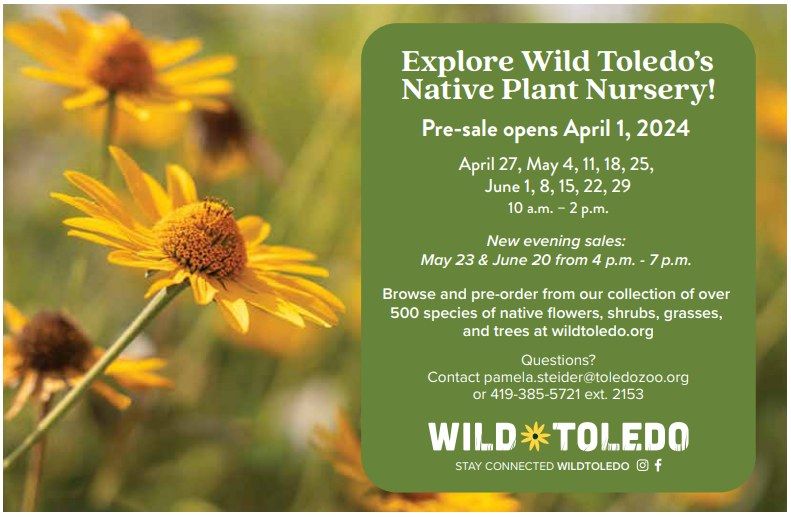 Wild Toledo Native Plant Sale