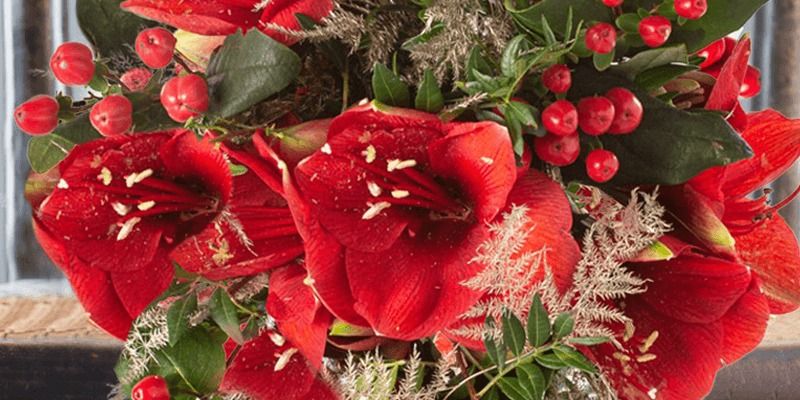 Monthly meeting - Christmas flowers with Elizabeth Barralet