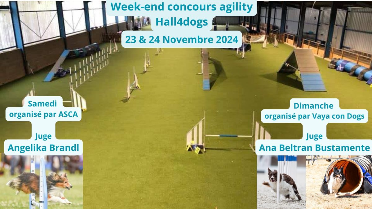 Week-end concours agility 23 & 24 Novembre 2024 Hall4dogs