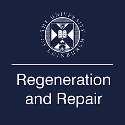 Institute for Regeneration and Repair