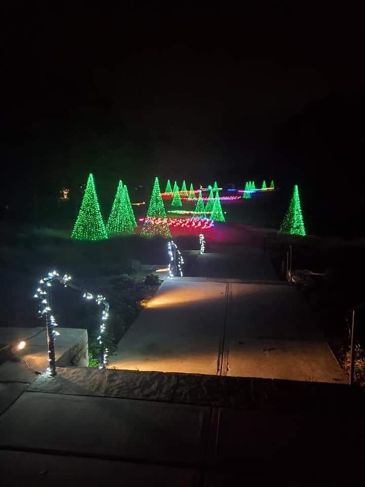 Holiday Lights at the Botanical Garden