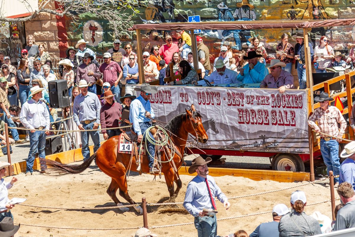 Cody Horse Sale 2025