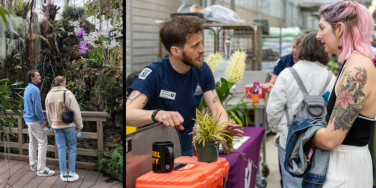 Sensory-Friendly Evening at the Garden: Orchids (On-site Sensory-Friendly Visit)