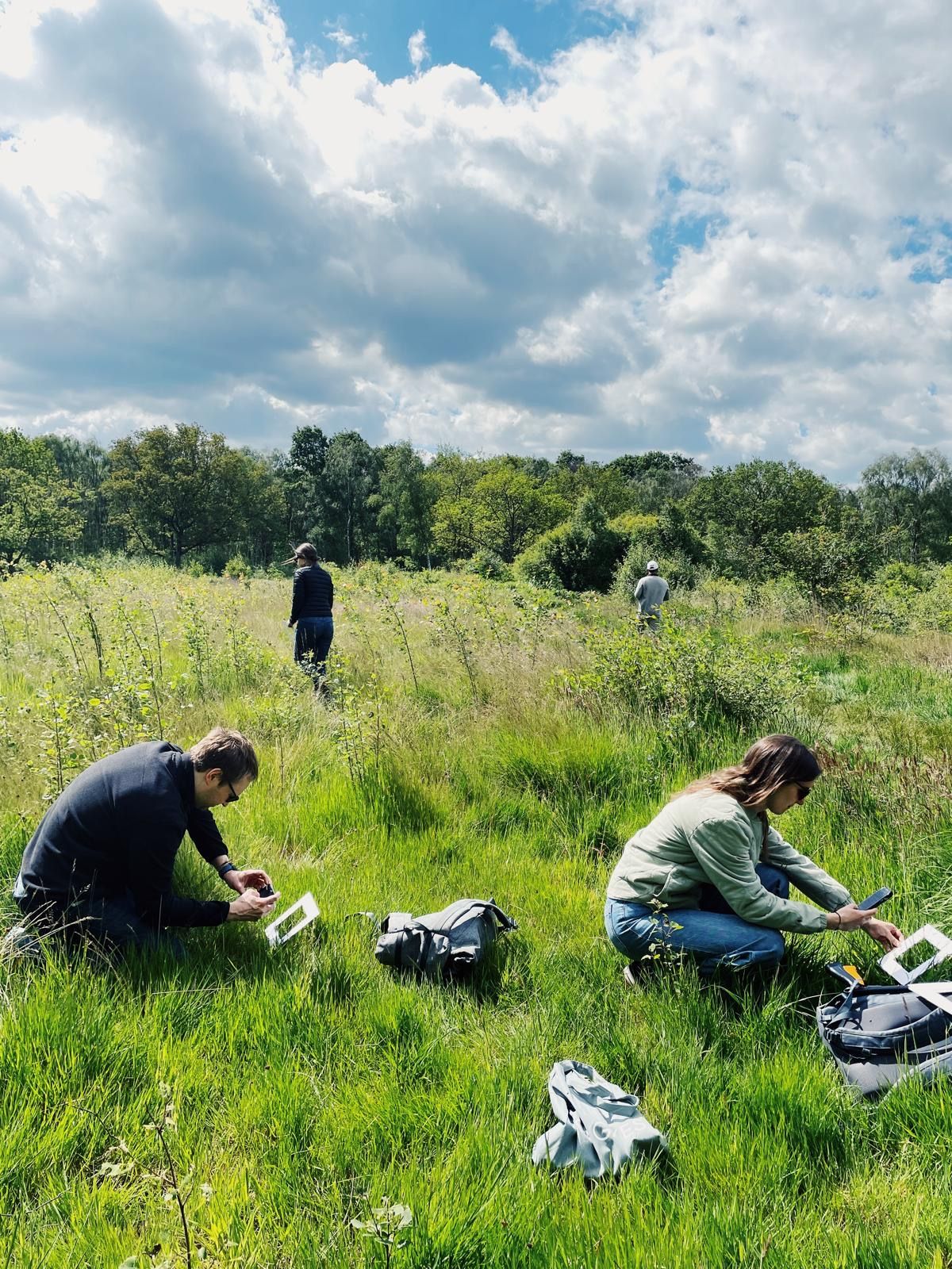 Mindful Pause on the Common