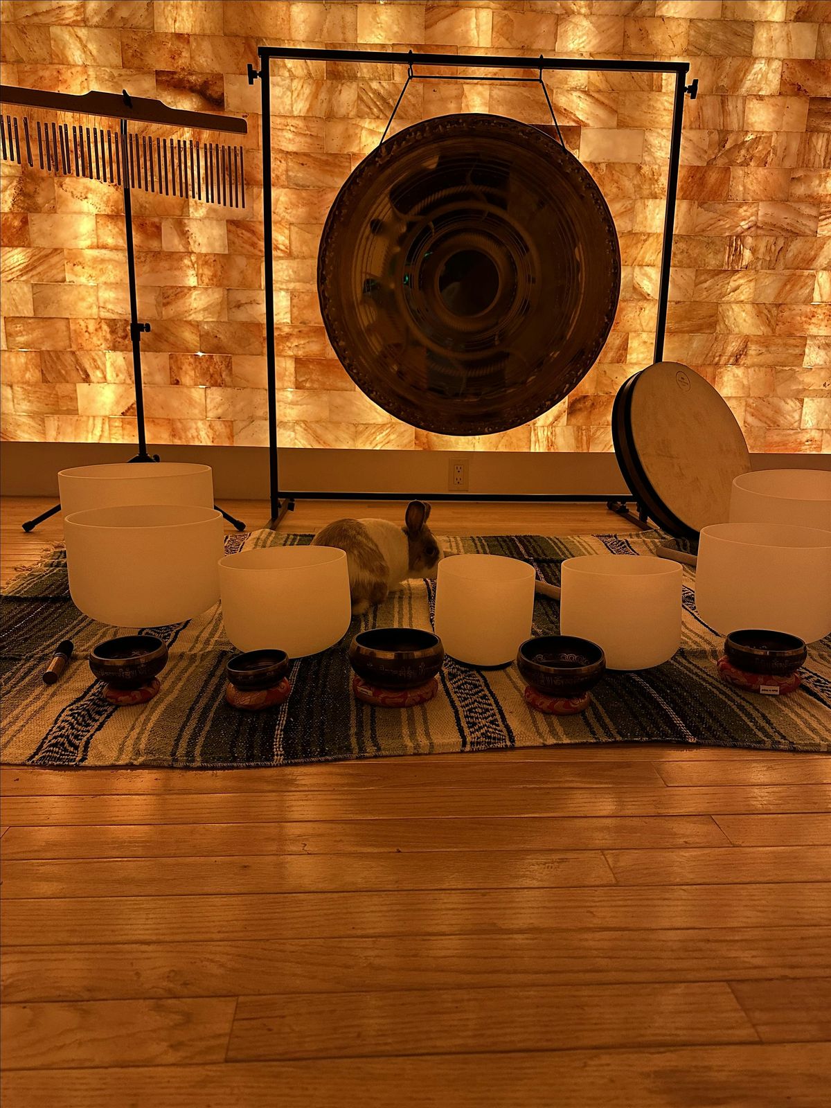 New Moon Reiki Sound Bath in Himalayan Salt Room