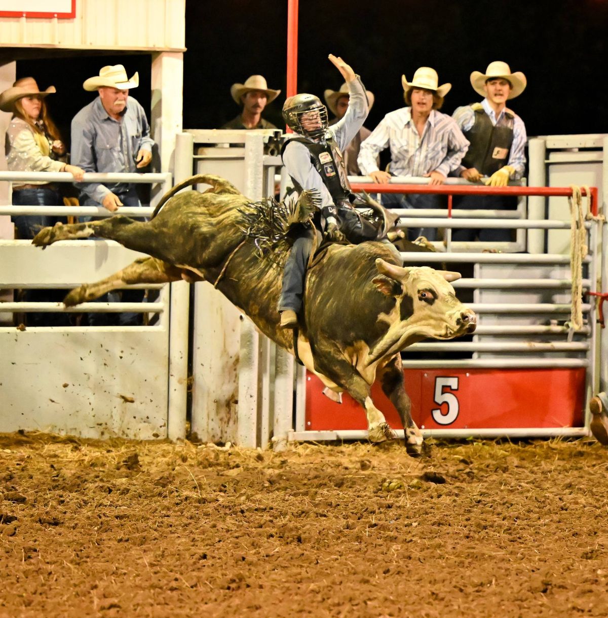 69th Annual Ozark Boosters Club Pro Rodeo