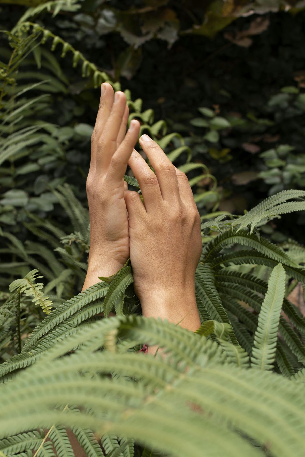 Still & Strong: A Wellness Retreat for Helping and Healing Professionals