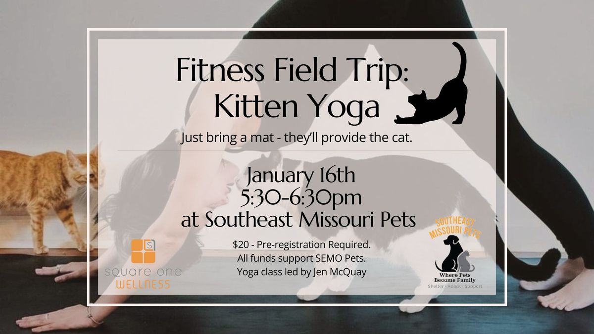 Fitness Field Trip: Kitten Yoga