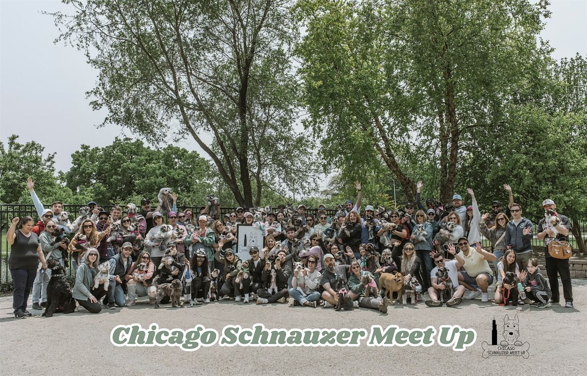 Chicago Schnauzer Meet Up